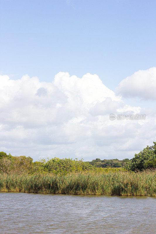 南非夸祖鲁-纳塔尔省的iSimangaliso湿地公园