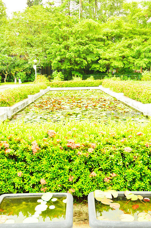 台湾台北植物园