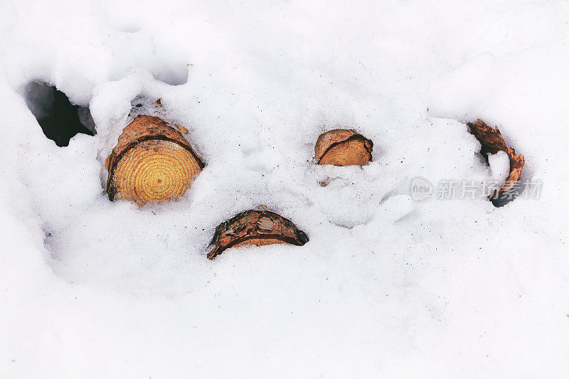 积雪下堆放的原木