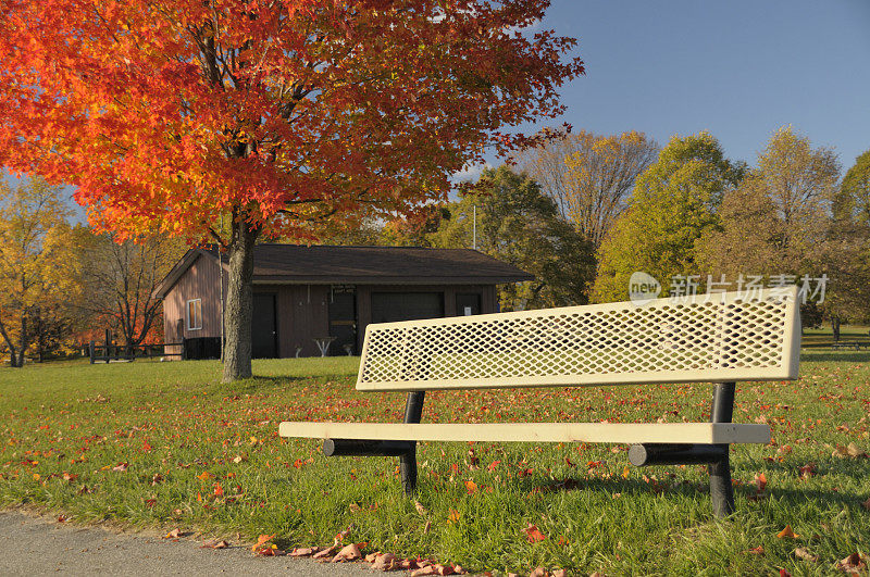 密歇根州的秋天长椅