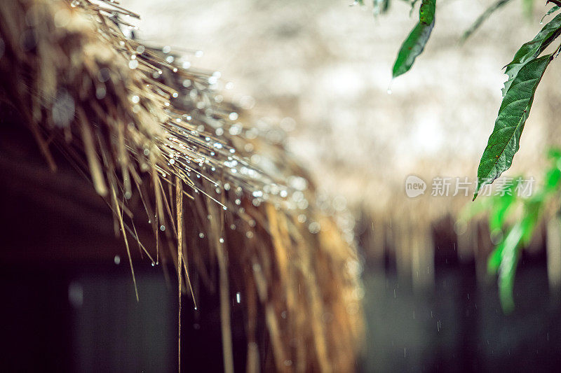 雨水落在稻草屋顶上