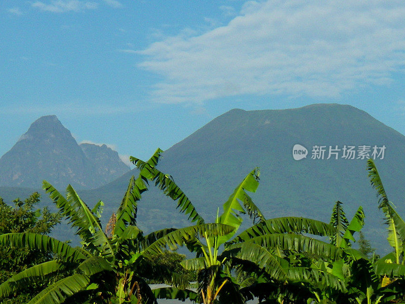 米基诺和维索克火山，维龙加山脉卢旺达