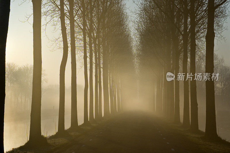 模糊的道路