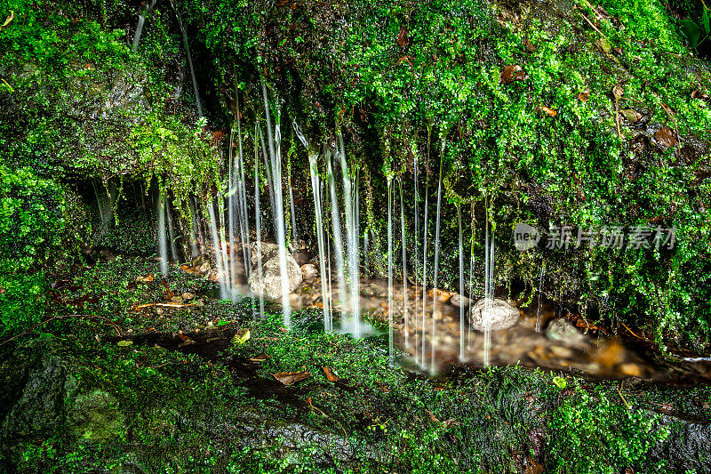 在乡村自然的苔藓覆盖的岩石上的泉水