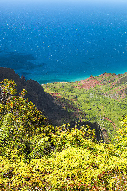 Kalalau山谷,考艾岛