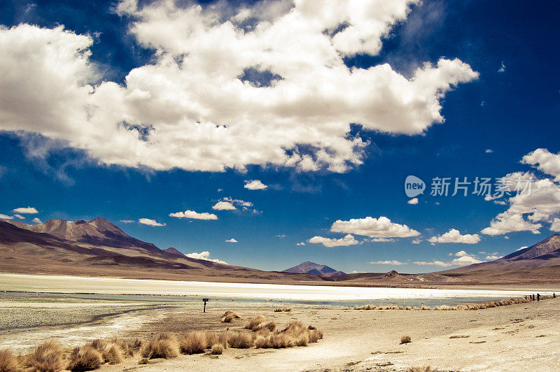 玻利维亚Altiplano的泻湖