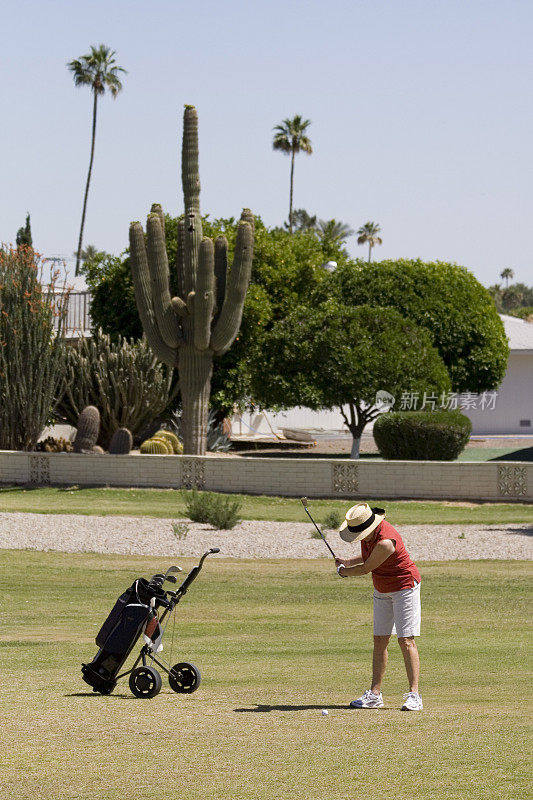 亚利桑那州女士高尔夫球手