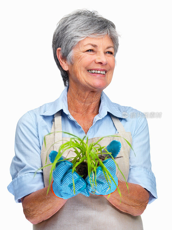 迷人的老园丁手里拿着一株植物