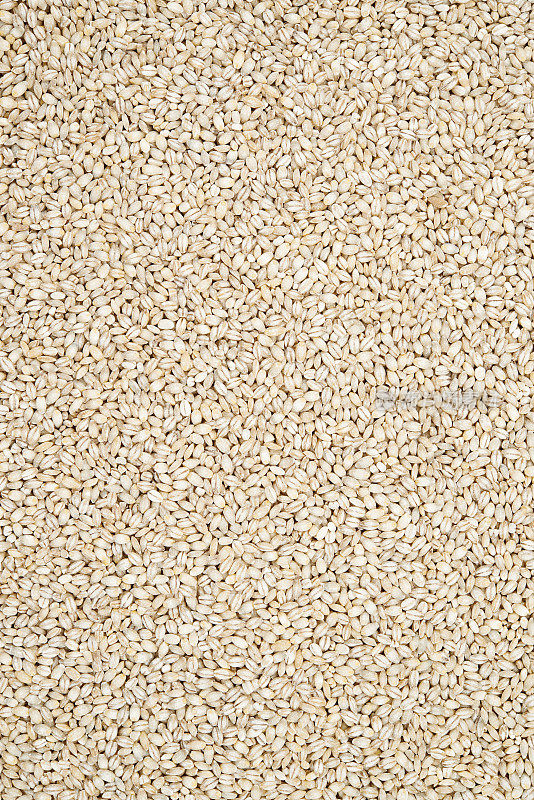 珍珠大麦。