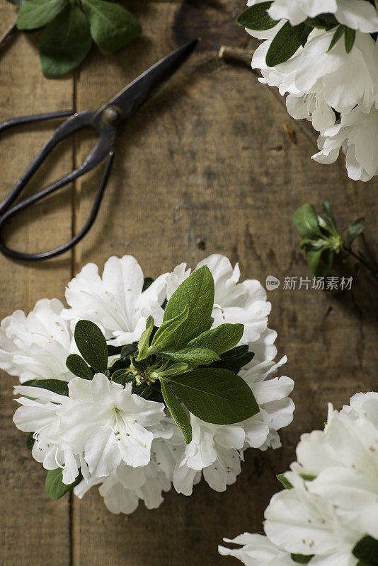 白色的杜鹃花花篮从上面