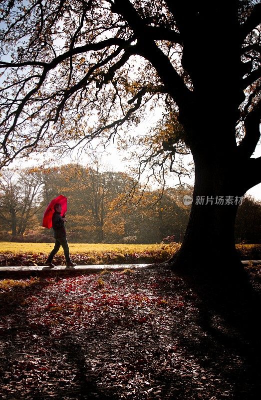 成熟的女人走在雨中