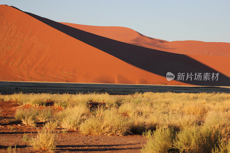 纳米比亚:美丽的红色沙丘在纳米布沙漠