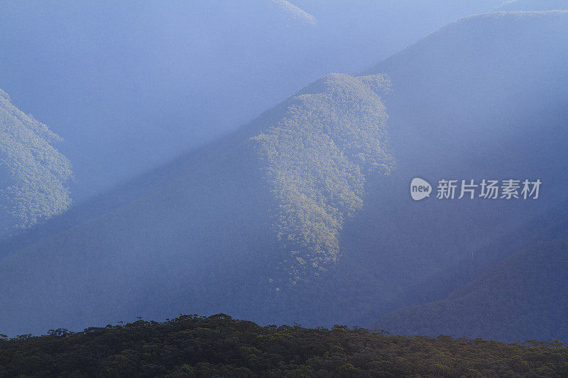 斯莫科野狗