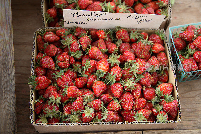 农贸市场:钱德勒草莓