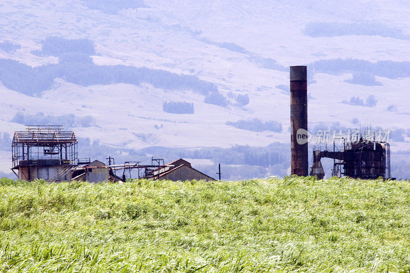 哈雷阿卡拉火山附近的甘蔗田和磨坊