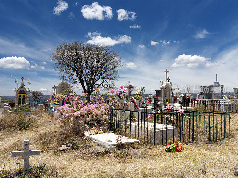 墨西哥的墓地