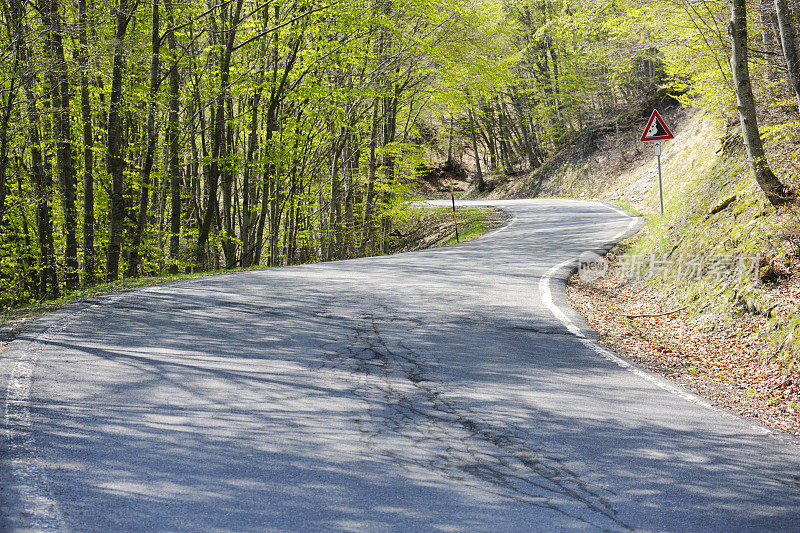 阳光乡村林荫蜿蜒的道路