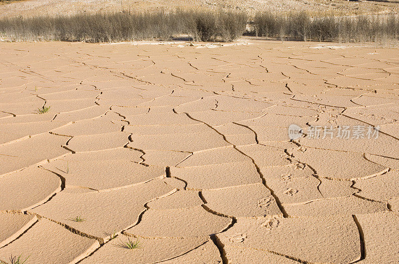 干旱期间干燥开裂的粘土盘。