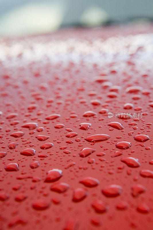 汽车引擎盖上的雨滴