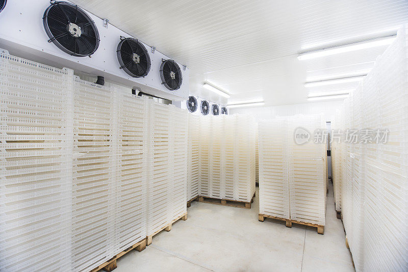 在零下30摄氏度的大型工业冰箱内储存