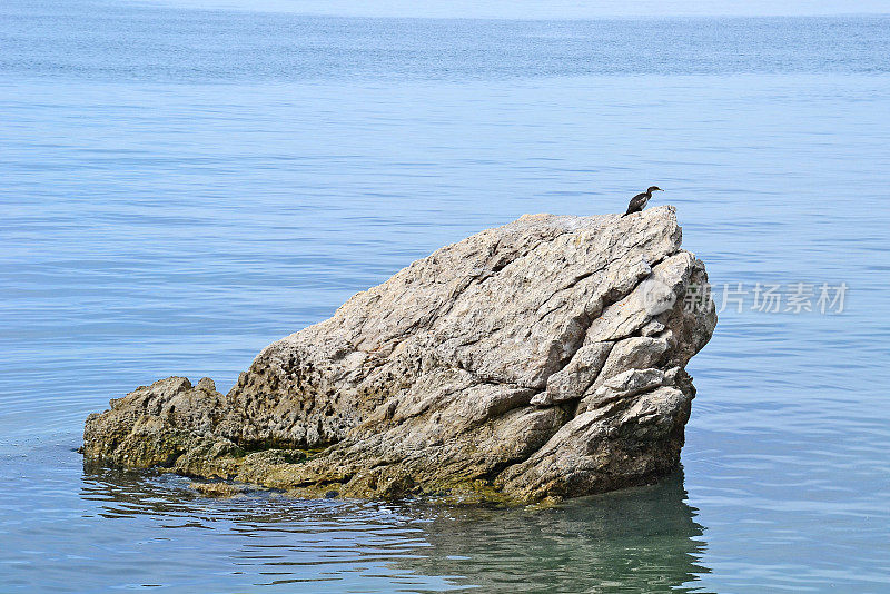 意大利里雅斯特附近亚得里亚海中的岩石