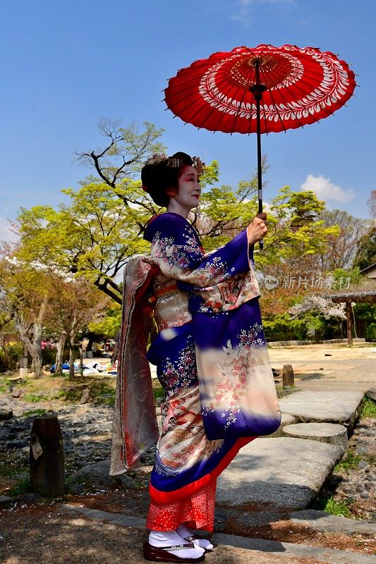 穿着舞子服装的日本女人享受京都的春天