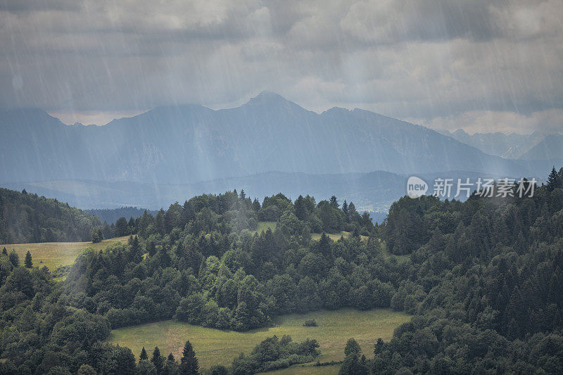 松树山的雨天