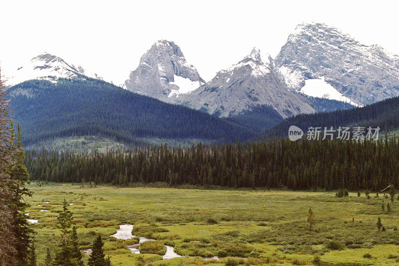 有一条从冰川流出的小溪的高山山谷。