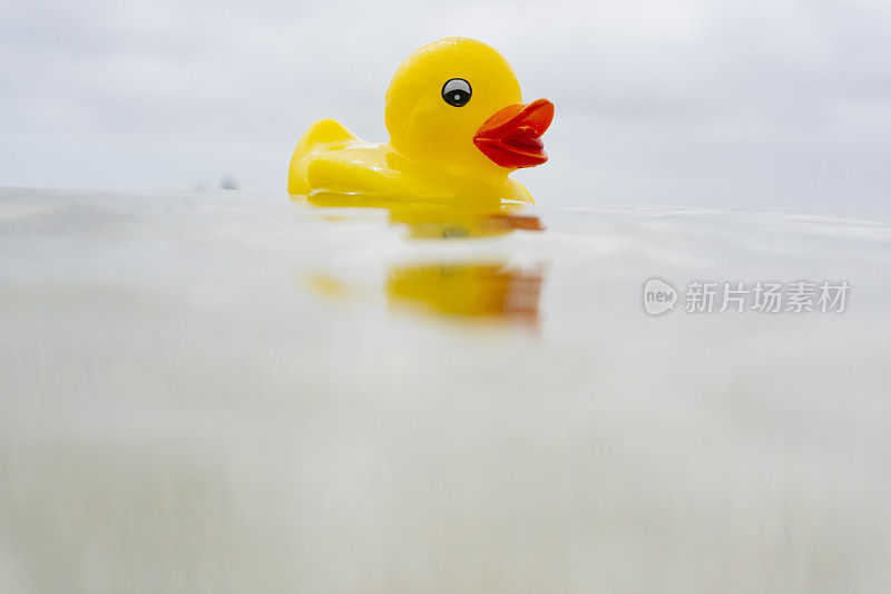 橡皮鸭漂浮在海面上。
