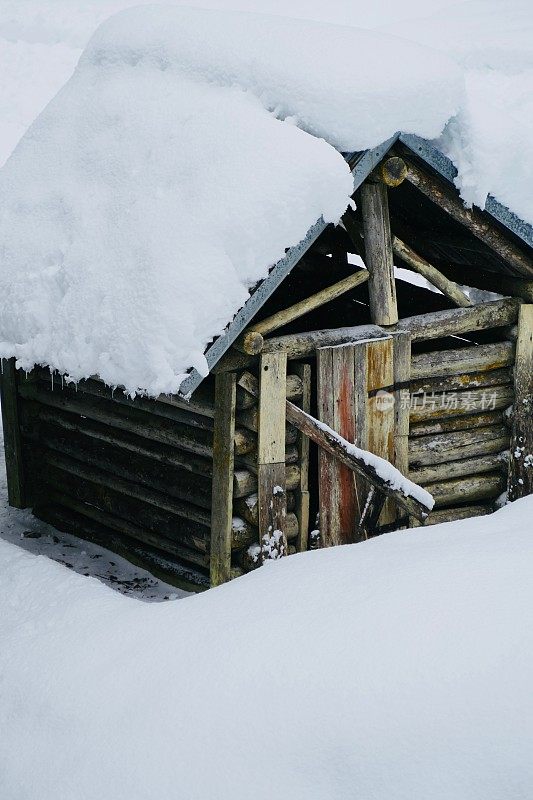 在欧洲阿尔卑斯山脉，冰雪覆盖的冬季景观和森林