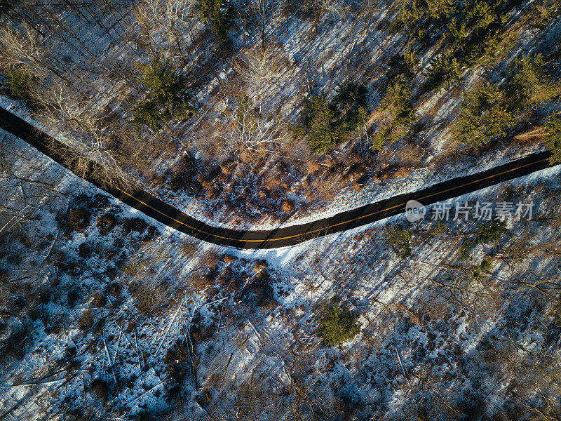 鸟瞰图的道路在森林中央的雪