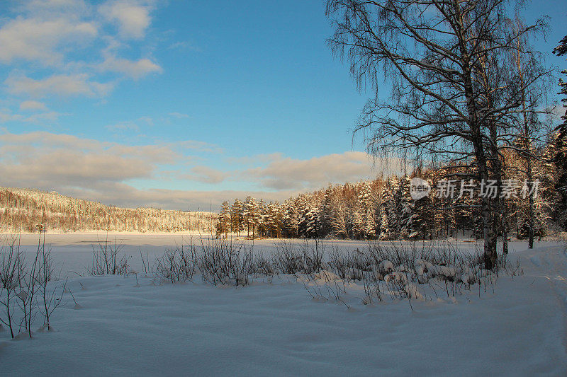 寒冷晴朗的冬日里冰冻的湖面和森林的一部分