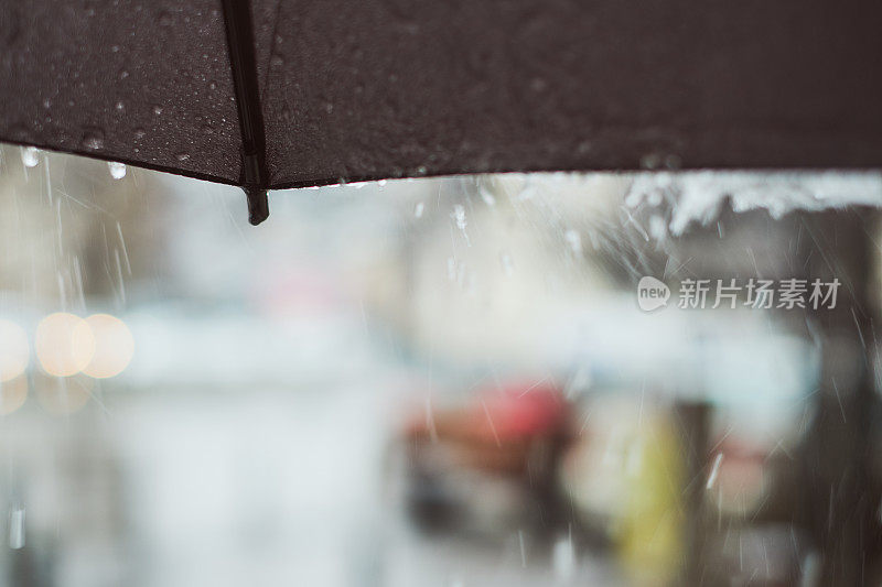 下雨的春日下了一把伞