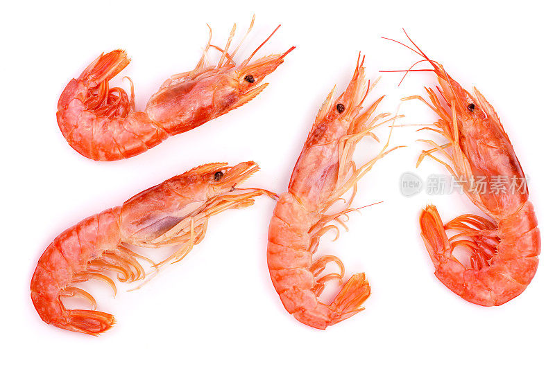 孤立在白色背景上的红煮虾或虾。俯视图