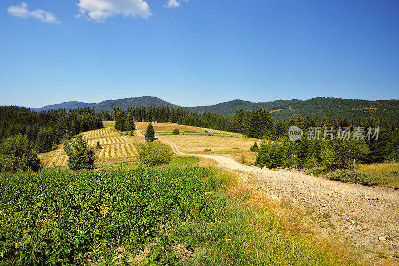 山景城