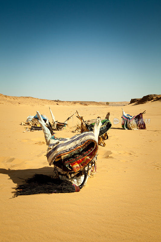 骆驼坐在利比亚的撒哈拉