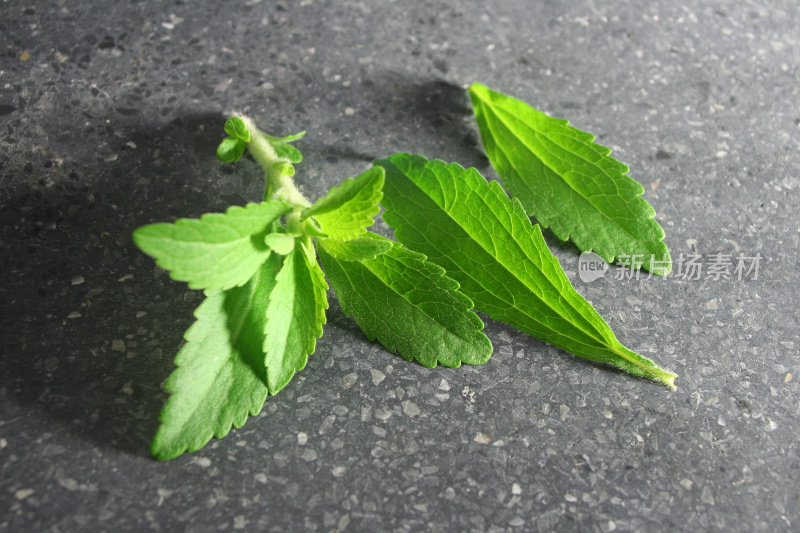 甜菊糖或甜药草