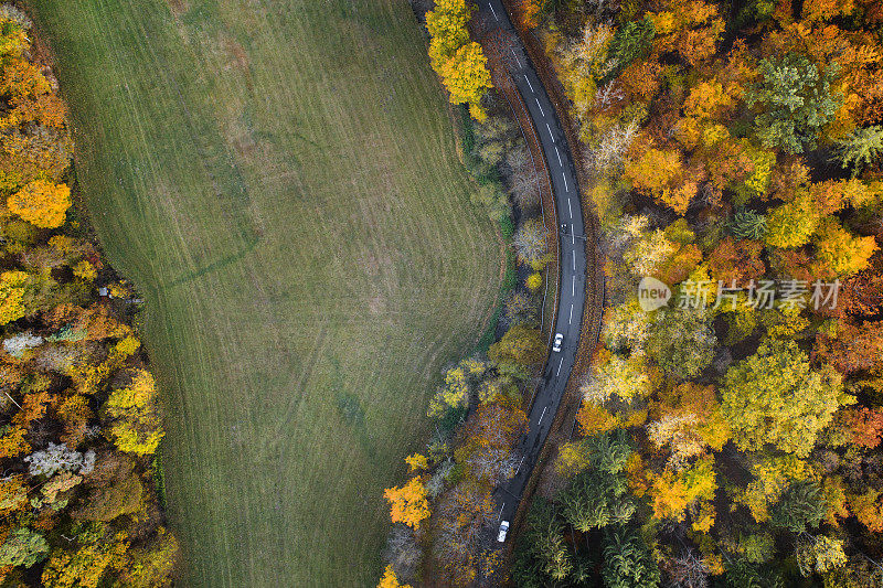 穿越秋天森林的道路-鸟瞰图