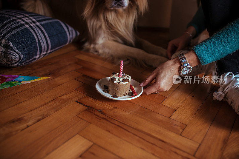 给我的狗庆祝生日