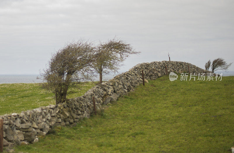爱尔兰克莱尔郡的巴利沃恩，沿着狂野大西洋之路的石墙。