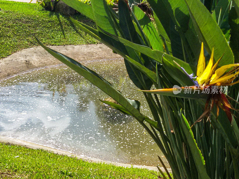 Curitiba-Paraná-Curitiba植物园