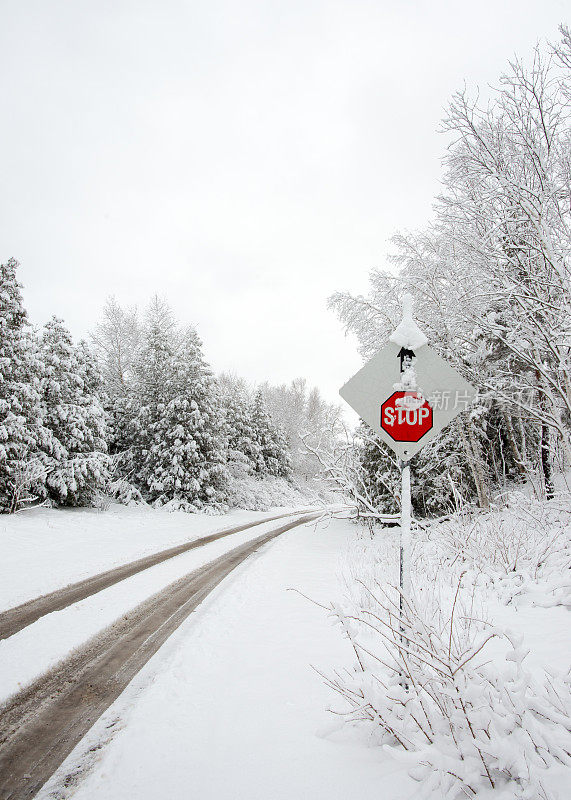 大雪过后，加拿大安大略省乡村公路上的停车标志