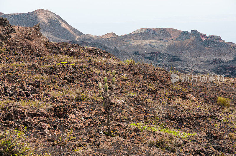 塞拉暗线火山