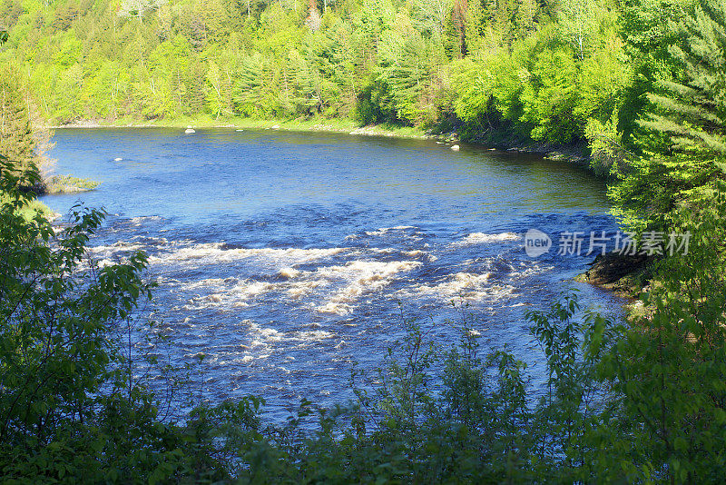 梯级河森林自然景观水运动河流环境