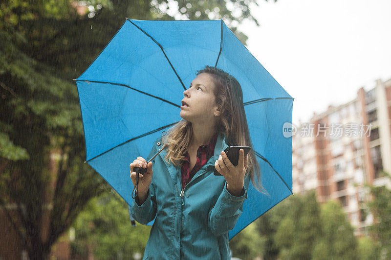 夏雨