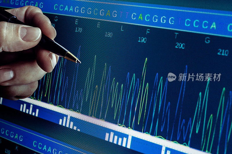 DNA序列分析