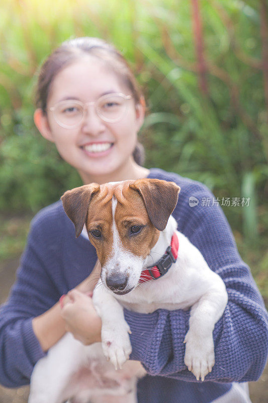 亚洲家庭十几岁的女孩玩好玩的她的宠物杰克罗素梗狗在花园在夏天的早晨