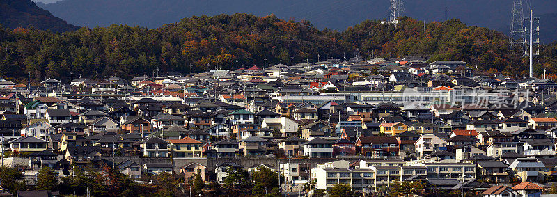 熊本全景