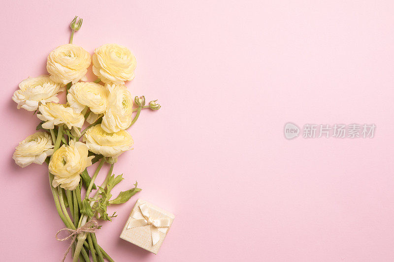 美丽的春花以粉红色为背景，花框构成