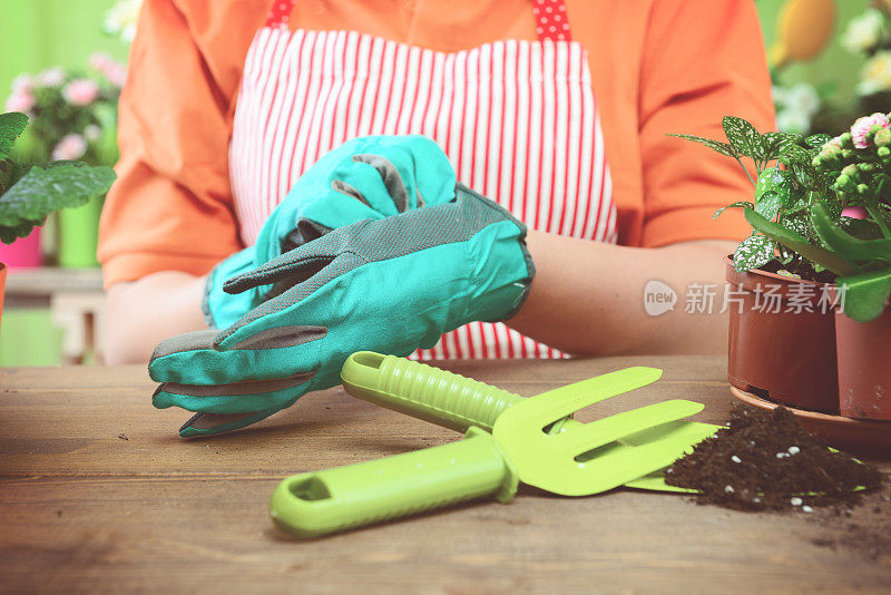 女人的手在盆栽一些植物